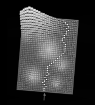 Cross matrix