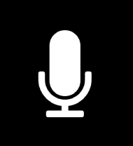 Voice